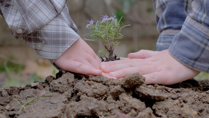 Boy planting a new tree, concept Save the Earth, save the world, save planet, ecology concept.photo - 763815077
