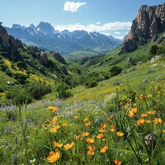 A panoramic view of a lush green valley, dotted with wildflowers, nestled between towering mountain ranges under a clear blue sky