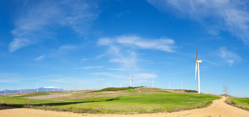 Wind turbine generators for green electricity production