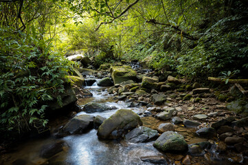 Lovely river hidden in the forest, round rocks on the stream, and sunlight shines on it, in New Taipei City, Taiwan.