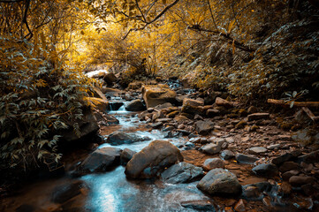 Lovely river hidden in the forest, round rocks on the stream, and sunlight shines on it, image has...