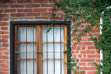 Fototapeta na wymiar Lovely view from the outside of a historic house window, grass growing well on the brick wall, in Hsinchu, Taiwan.