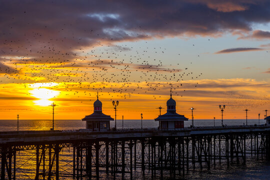 Blackpool sunset