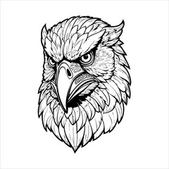 Intricate outline drawing of an eagle