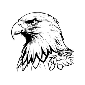 Intricate line drawing of an eagle.