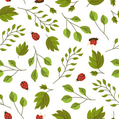 Seamless vector illustration of spring flowers, leaves and ladybugs. Colored spring wallpaper on a white background.