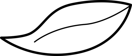 Single Leaf with Veins and Stem