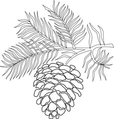 Pine branch with pinecone in vintage style hand drawn