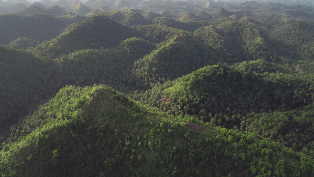 Timelapse Philippines landscape aerial: mist hills view at sunny day. Majestic nobody nature scape with mount and valley in abudant green plants, grasses, trees. Soft light hyperlapse drone shot