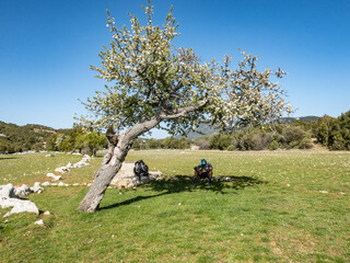 Springtime on the Lycian Way, Saribelen Turkey