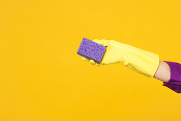 Close up cropped female holding in hand purple sponge while do housework tidy up cleaning isolated on plain yellow orange color background studio. Housekeeping concept. Copy space advertising mock up.