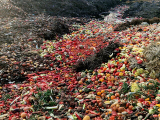 composting is a method of recycling fruits and vegetables. Rotten and moldy baked goods are...
