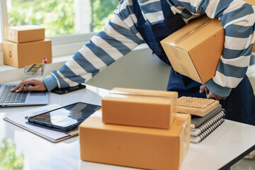 female online store small business owner The seller packs the parcel behind the shipping box....