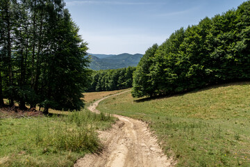 The Landscape of the Carpathian Mountains in Romania