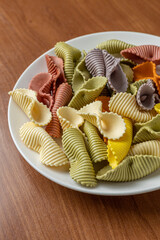 Colorful pasta background. Top view of five colors pasta shells .Heap of colorful spiral pasta,macaroni texture.