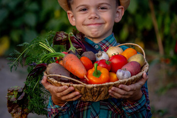 Fototapeta na wymiar boy in the garden holding a bowl of freshly picked vegetables. selective focus