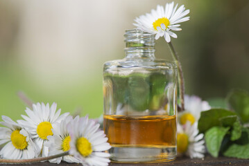 arrangement of a bottle of essential oil and daisies with fresh mint leaf on a wooden table