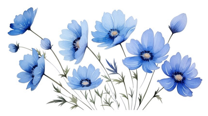 Clean Blue Cosmos Artwork on isolated white background. PNG Format