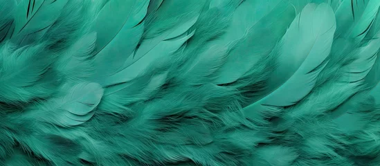Fotobehang Close-up of green bird feathers on white background © Ilgun