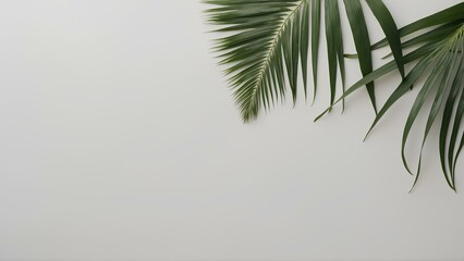 Fototapeta premium Top of white table with palm leaves