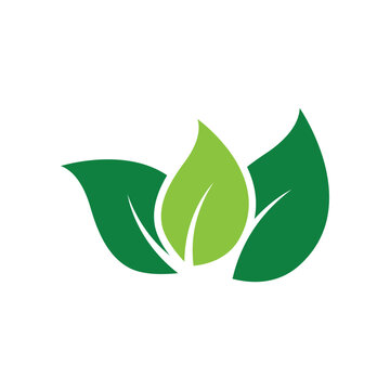 Green leaf logo vector template element symbol design