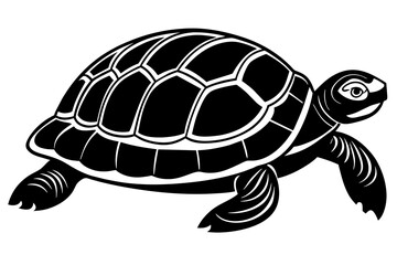 the turtle  silhouette  vector and illustration
