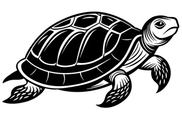 the turtle  silhouette  vector and illustration