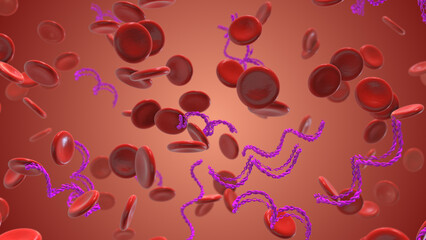 Lyme disease afflicted red blood cells