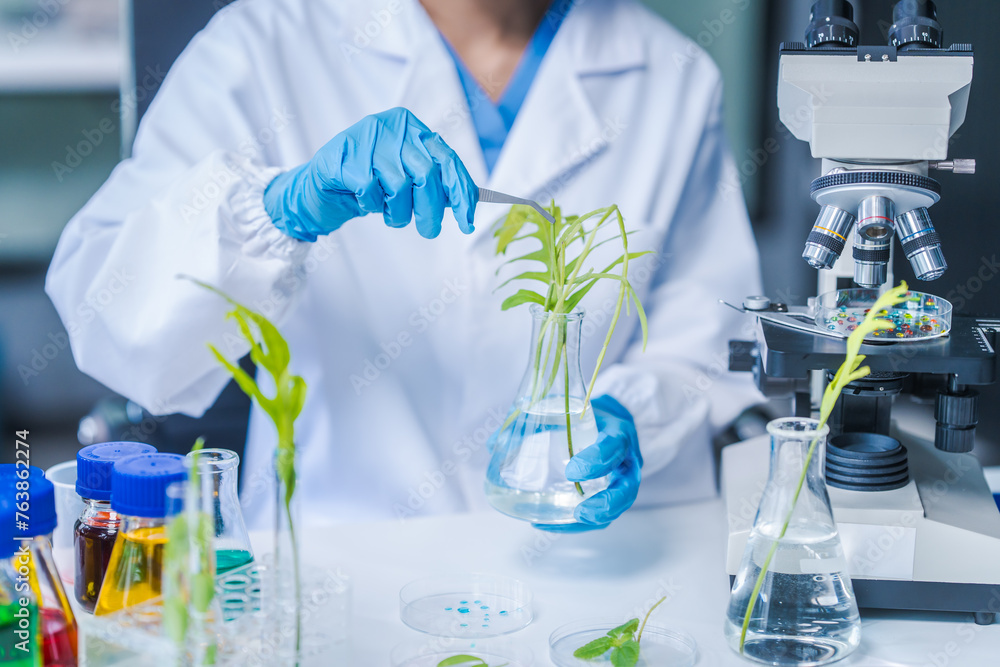 Wall mural female science biology laboratory worker using pipette, test tubes, microscope in sustainability pla