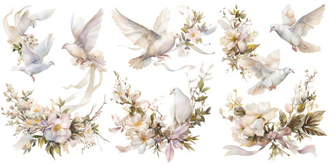 Watercolor floral set on transparent background with pastel flowers and white doves, ribbon, pigeons. Collection for wedding stationery, invitation, card, album, decor. Love, romance, classic style