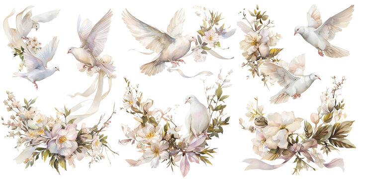 Watercolor floral set on transparent background with pastel flowers and white doves, ribbon, pigeons. Collection for wedding stationery, invitation, card, album, decor. Love, romance, classic style