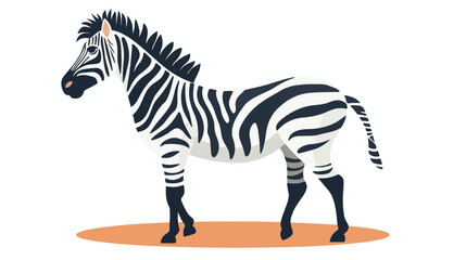 Fototapeta na wymiar Fun zebra flat vector isolated on white background -