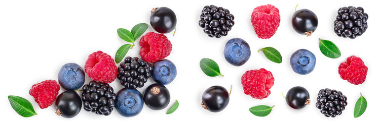 blackberry blueberry raspberry black currant isolated on white background with copy space for your text. Top view. Flat lay pattern