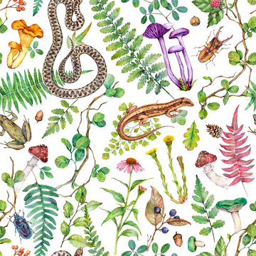 Watercolor fantasy forest seamless pattern with mushrooms, ferns, leaves, herbs and snakes. Hand painted forest background.