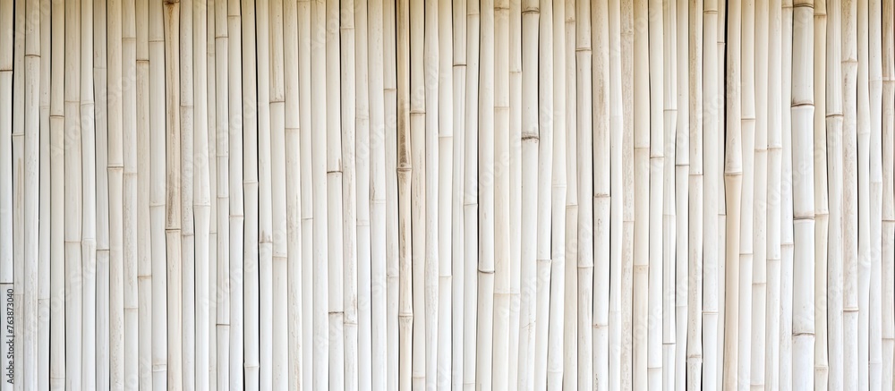Poster a closeup shot showcasing a striped pattern on a white hardwood wall, with parallel lines creating a