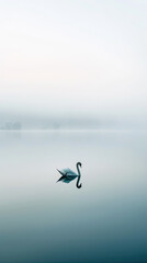 Fototapeta na wymiar Solace in Still Waters. A swan glides on a tranquil lake, its grace accentuated by the expanse of serene waters and a misty horizon.
