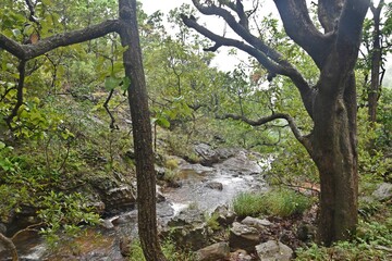 Scenic view of a crystal-clear water stream meandering through a picturesque landscape with colourful flowers and trees.