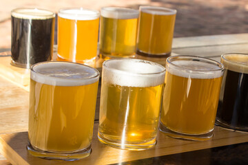 Two lines of beer tasting glasses with four variety of beers, at a small microbrewery