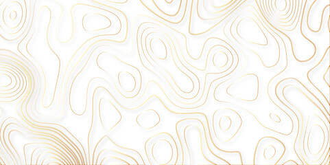 Abstract white colorful golden Topographic line map background. Contour elevation topographic and textured Background Modern design with White background with topographic wavy pate for decoration. - obrazy, fototapety, plakaty