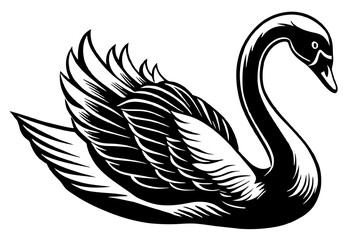 swan  silhouette  vector and illustration