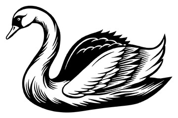 Obraz premium swan silhouette vector and illustration