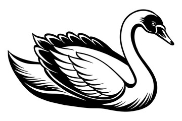 swan  silhouette  vector and illustration