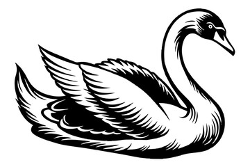 Fototapeta premium swan silhouette vector and illustration