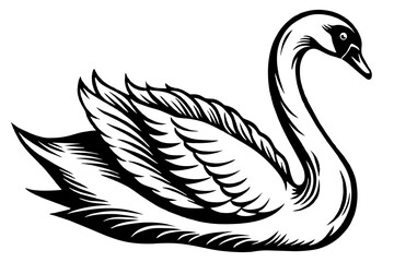 swan  silhouette  vector and illustration