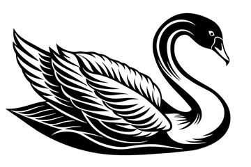 Fototapeta premium swan silhouette vector and illustration
