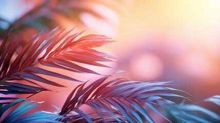 Abstract background in pastel colors with palm tree leaves