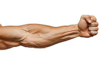 a man's arm with biceps