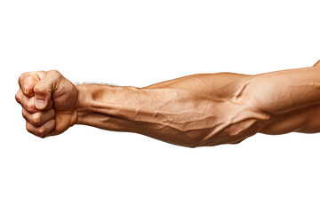 a man's arm with biceps