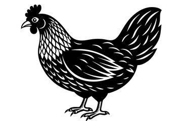 Fototapeta na wymiar chicken silhouette vector and illustration