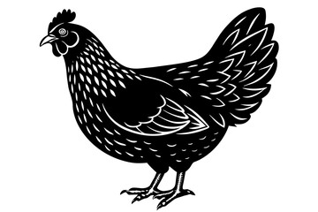  chicken  silhouette  vector and illustration